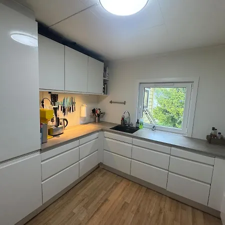 Feriehus Stort Hus Pa Geilo Hol (Buskerud)